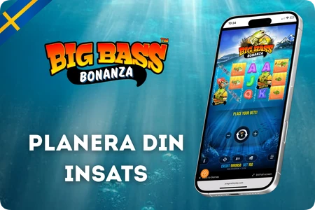 Insatspanel med min och max bet i Big Bass Bonanza slot