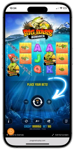 Ställ in insats i Big Bass Bonanza för svenska spelare