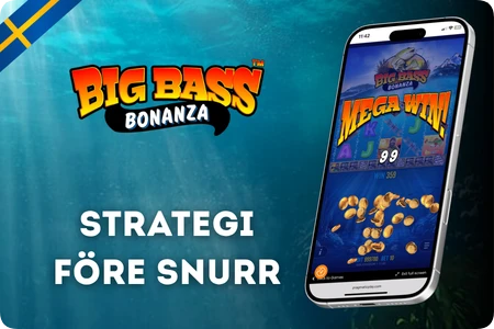 Megavinst med multiplikator i Big Bass Bonanza för svenska spelare